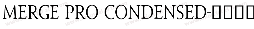 Merge Pro Condensed字体转换